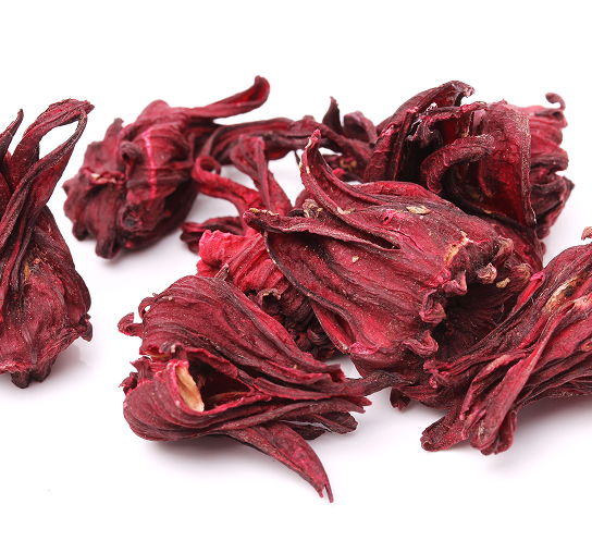 Hibiscus