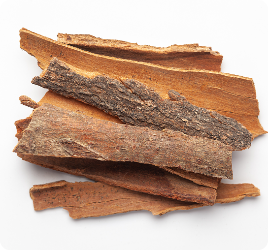 Cinnamomum Zeylanicum