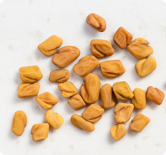 Fenugreek