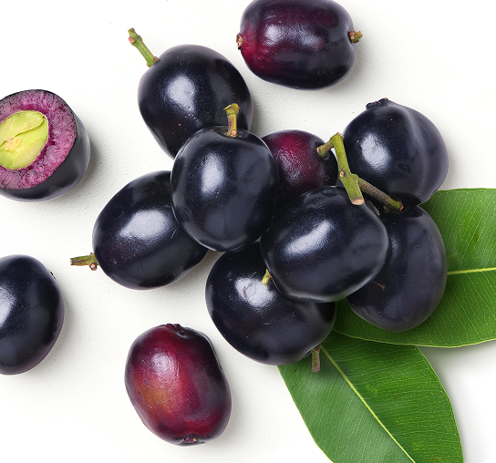 Syzygium Cumini